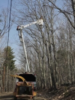 Tree-Care_02