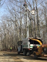 Tree-Care_03