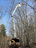 Tree-Care_04