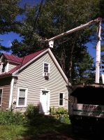 Tree-Care_05