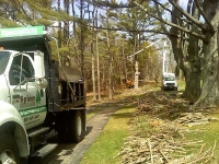 Tree-Care_16