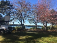 Tree-Care_19