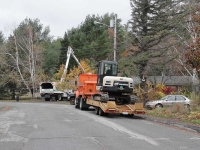Tree-Care_21