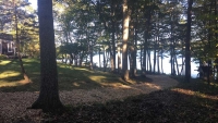 Tree-Care_22