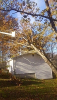 Tree-Care_25