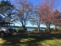 Tree-Care_26