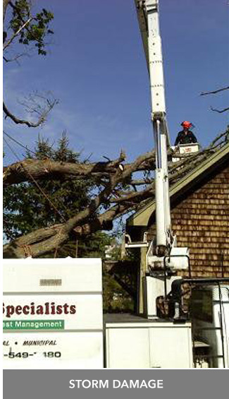 We clear storm damage trees and other debris in Central and Midcoast Maine.